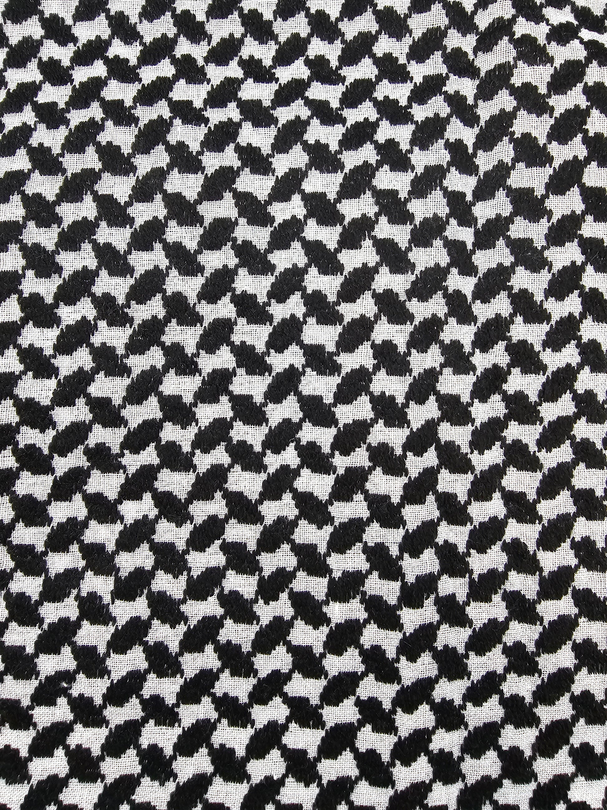 black and white keffiyeh rajaeen
