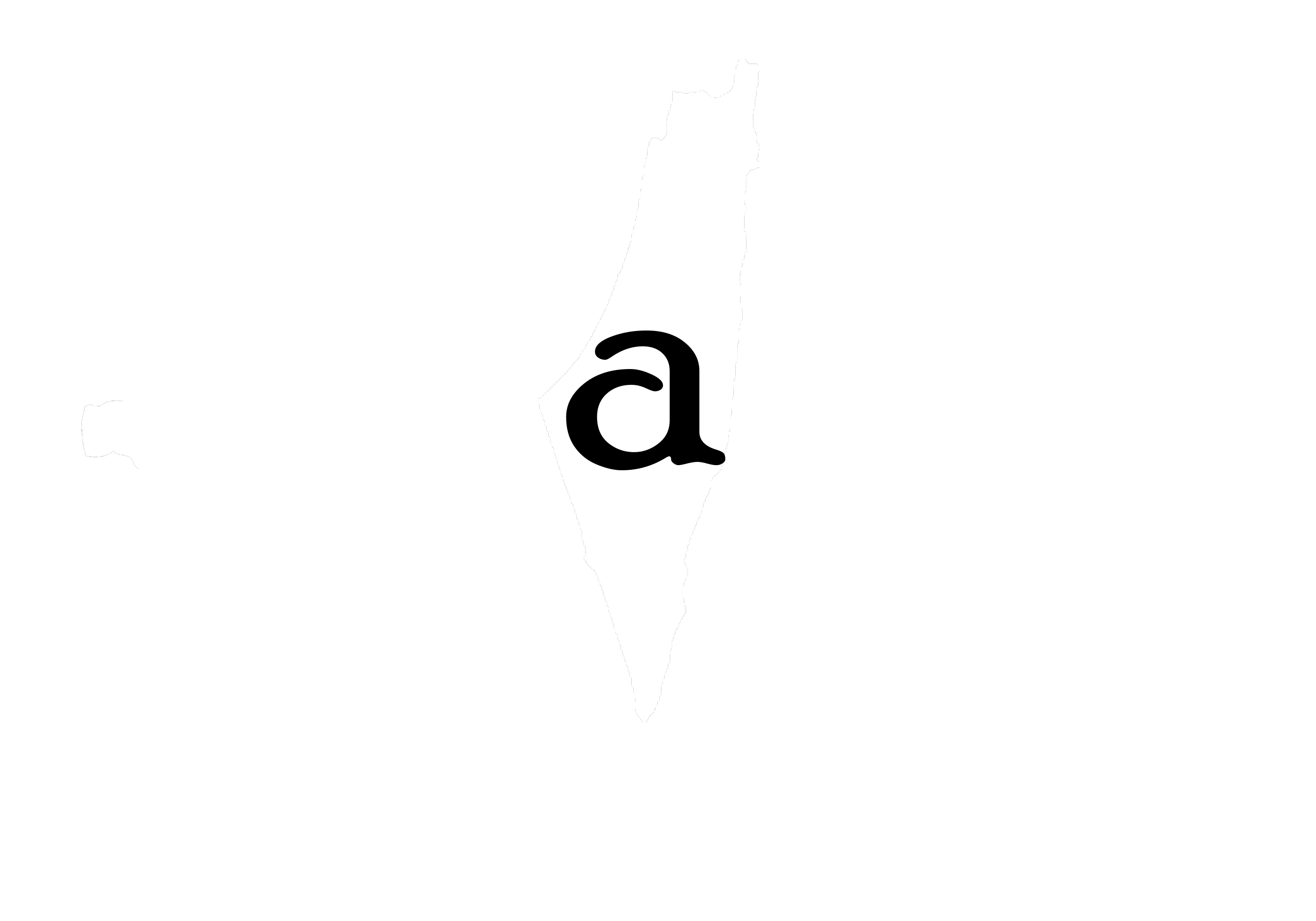 rajaeen logo