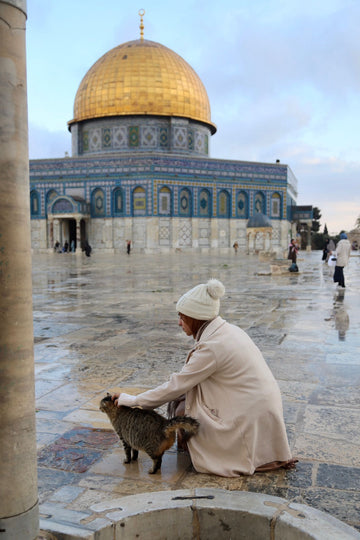 art as resistance yara faqeeh from the heart of jerusalem rajaeen