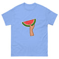 watermelon t shirt carolina blue color rajaeen