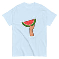 light blue color watermelon t shirt rajaeen