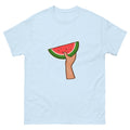 watermelon t shirt light blue color rajaeen