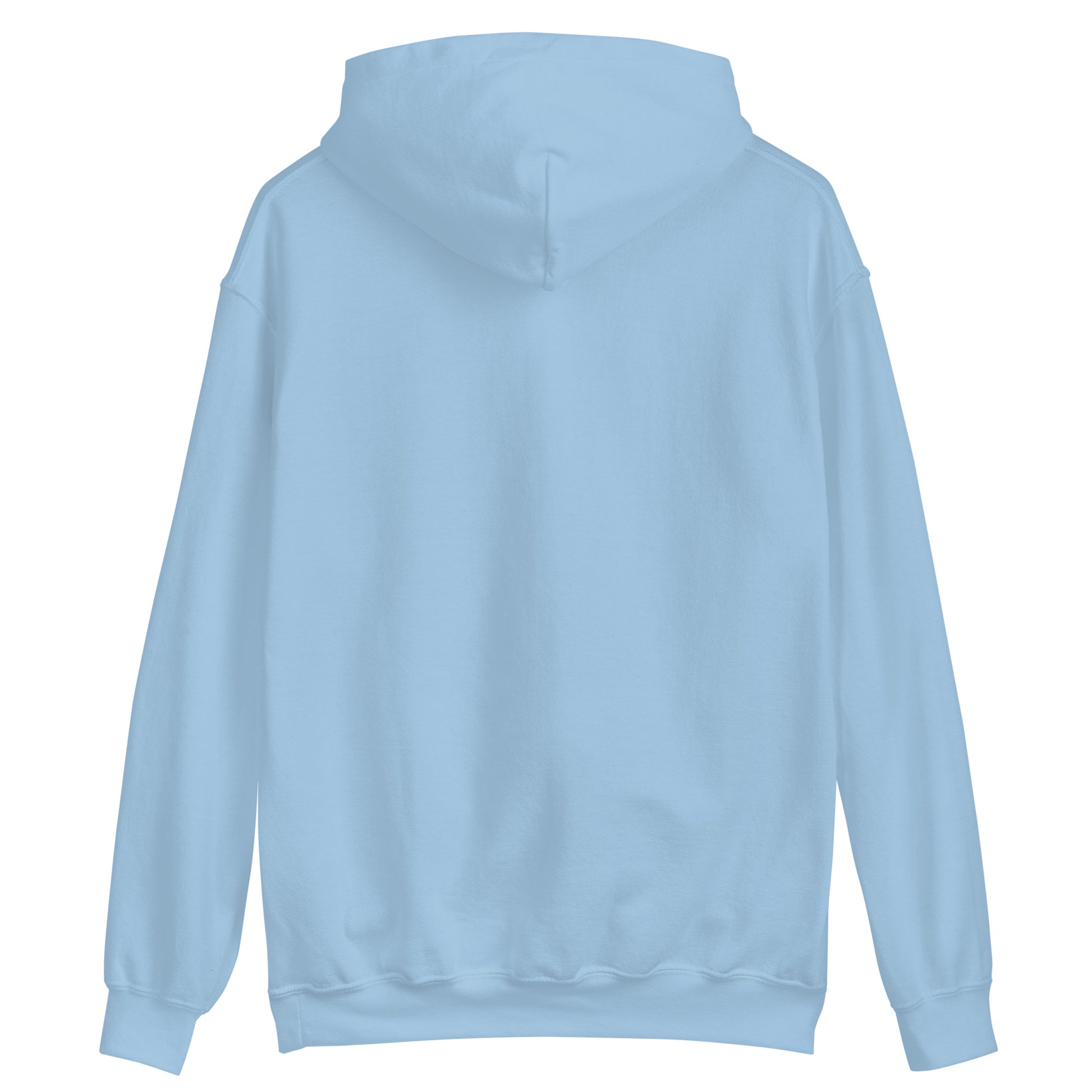 unisex hoodie light blue color back side rajaeen