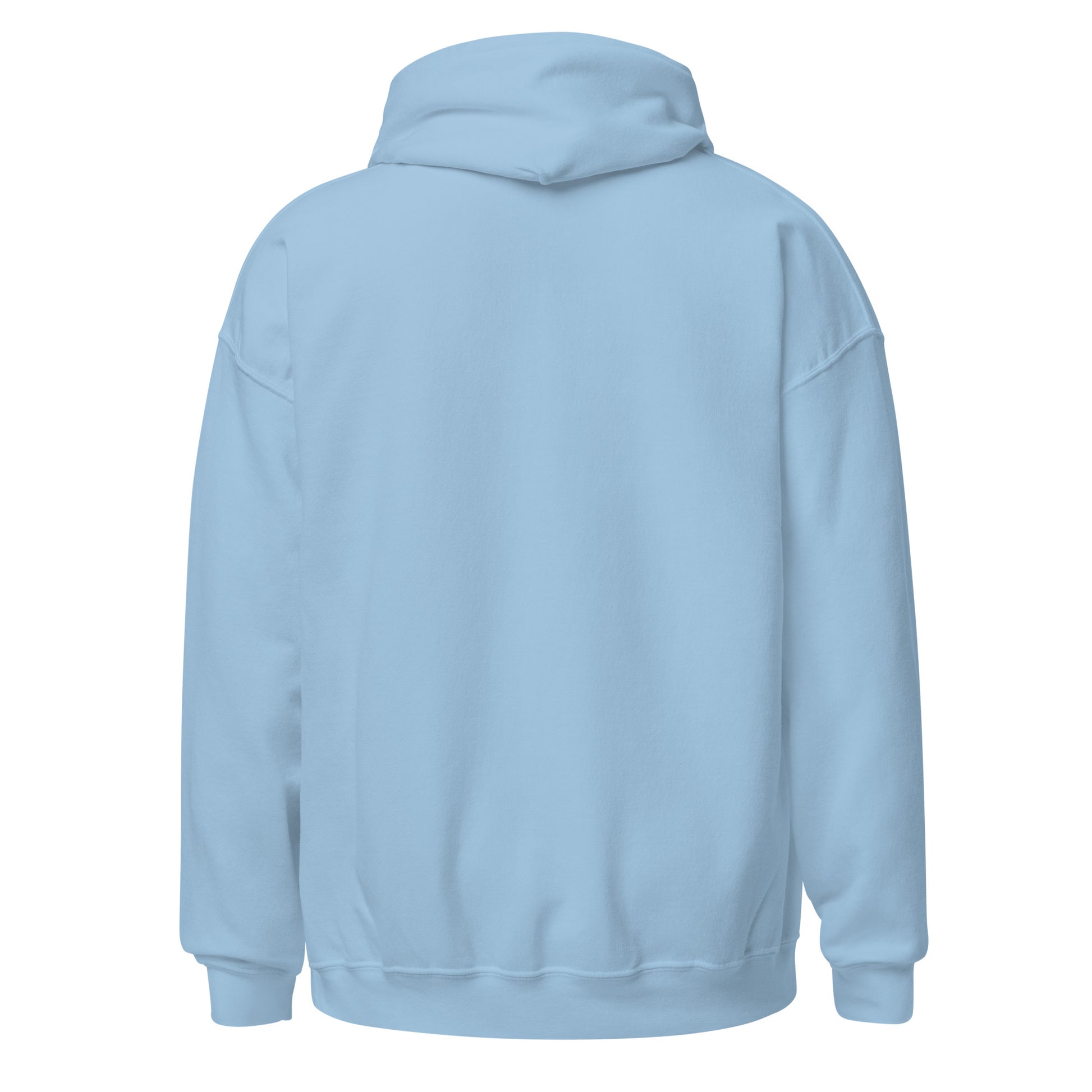 light blue color unisex premium hoodie back side view rajaeen