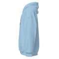 light blue color unisex premium hoodie left side view rajaeen