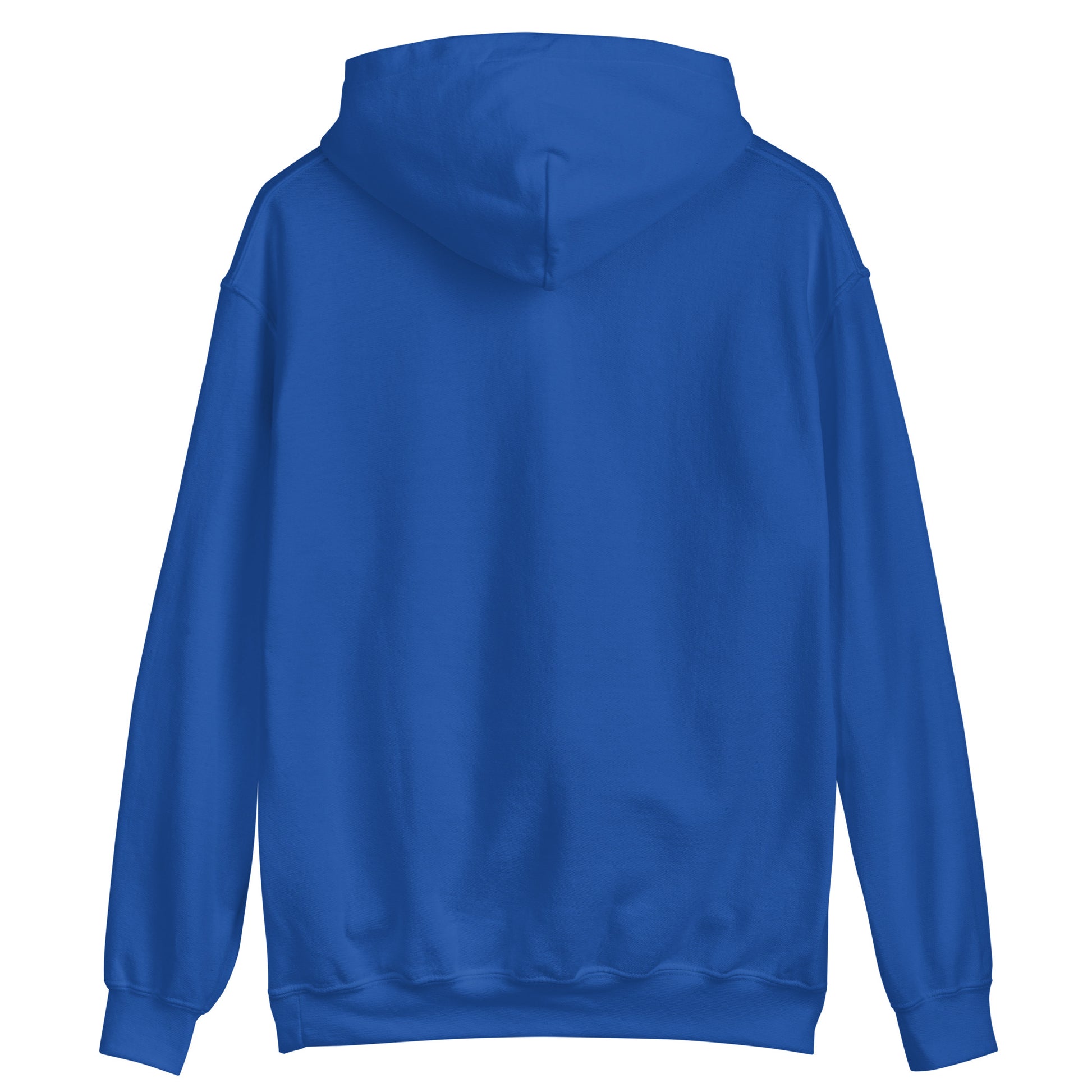 royel blue color unisex hoodie back side rajaeen