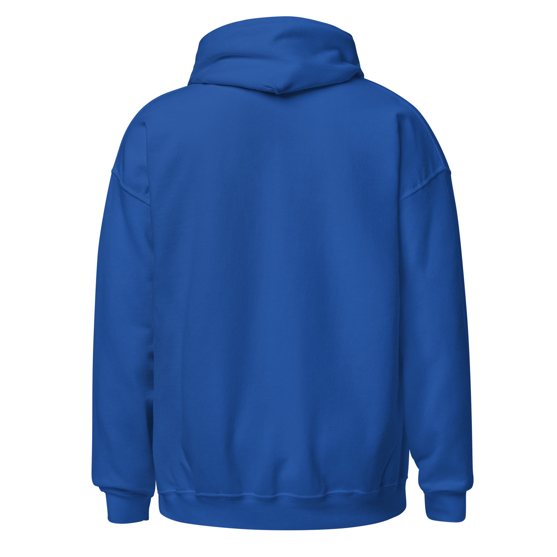 royel blue color unisex premium hoodie back side rajaeen