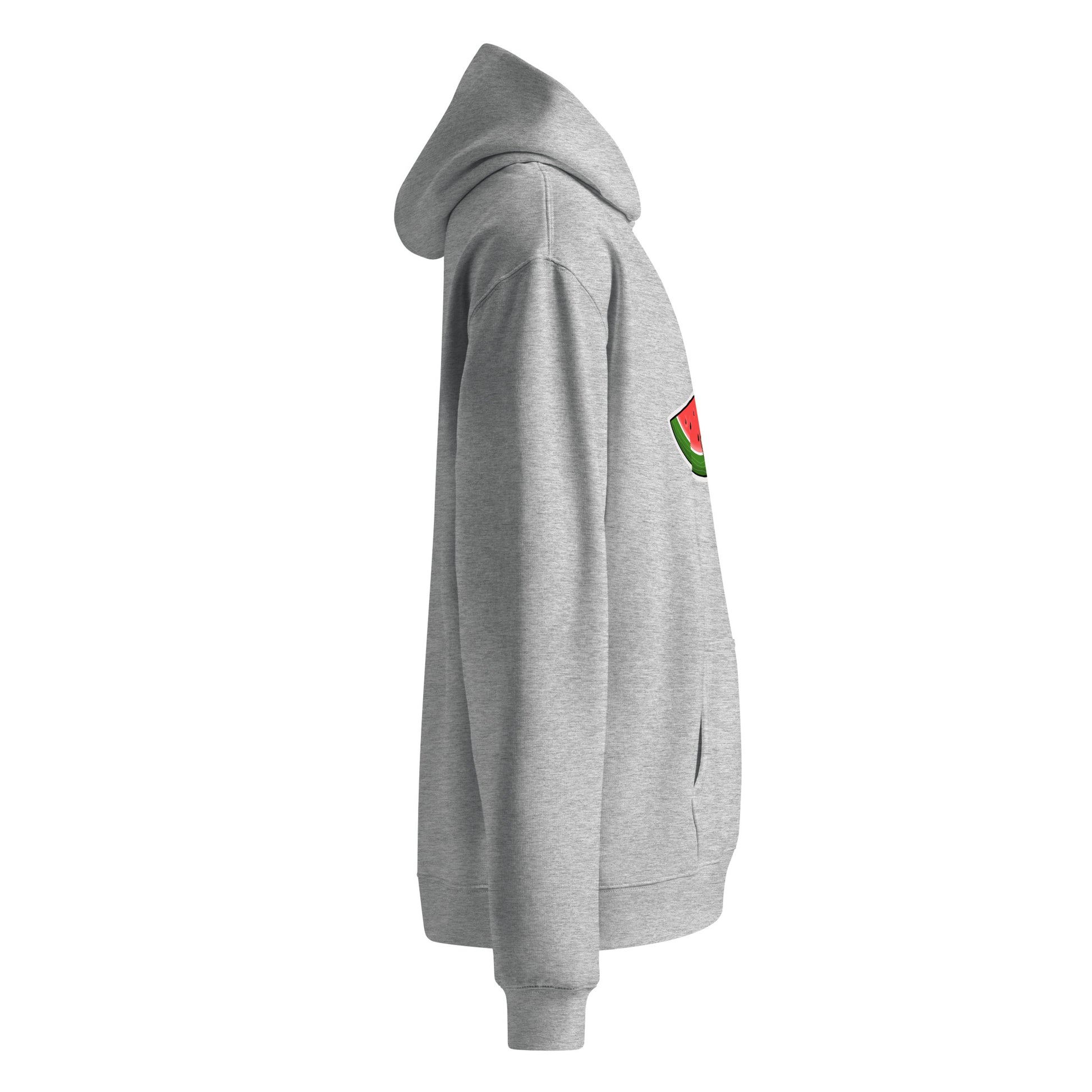 unisex oversize hoodie ash color side view rajaeen