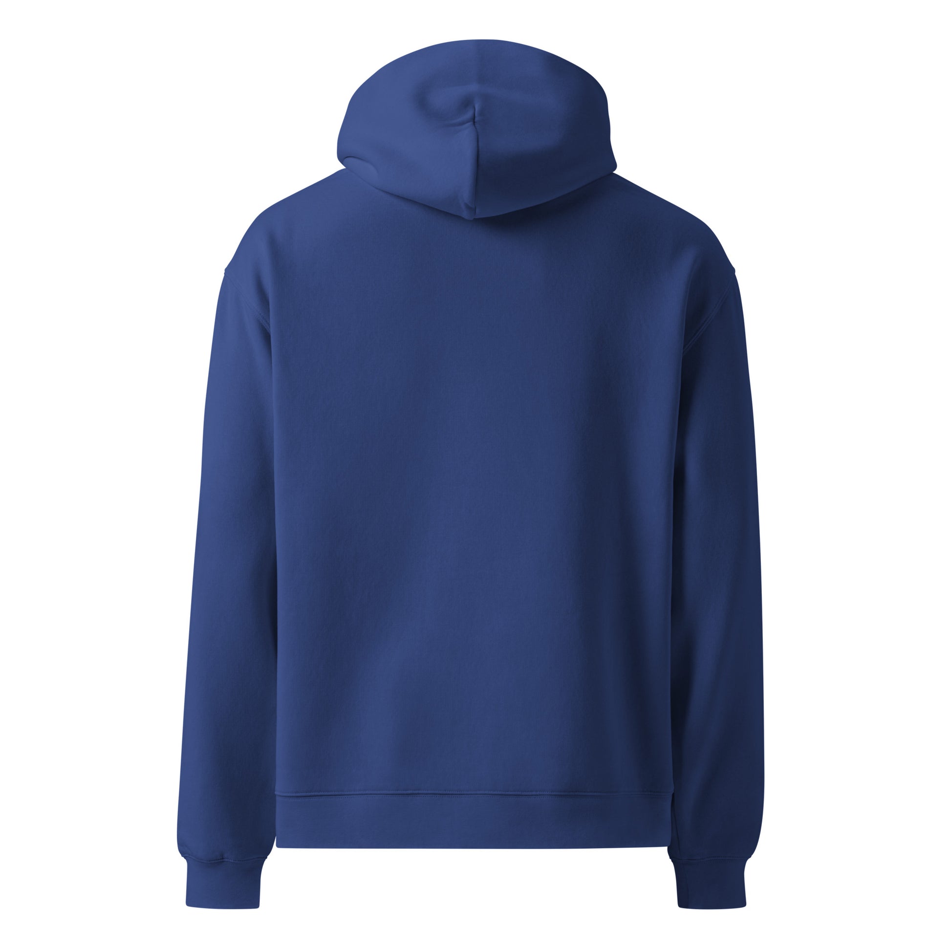 oversize hoodie blue color back side rajaeen