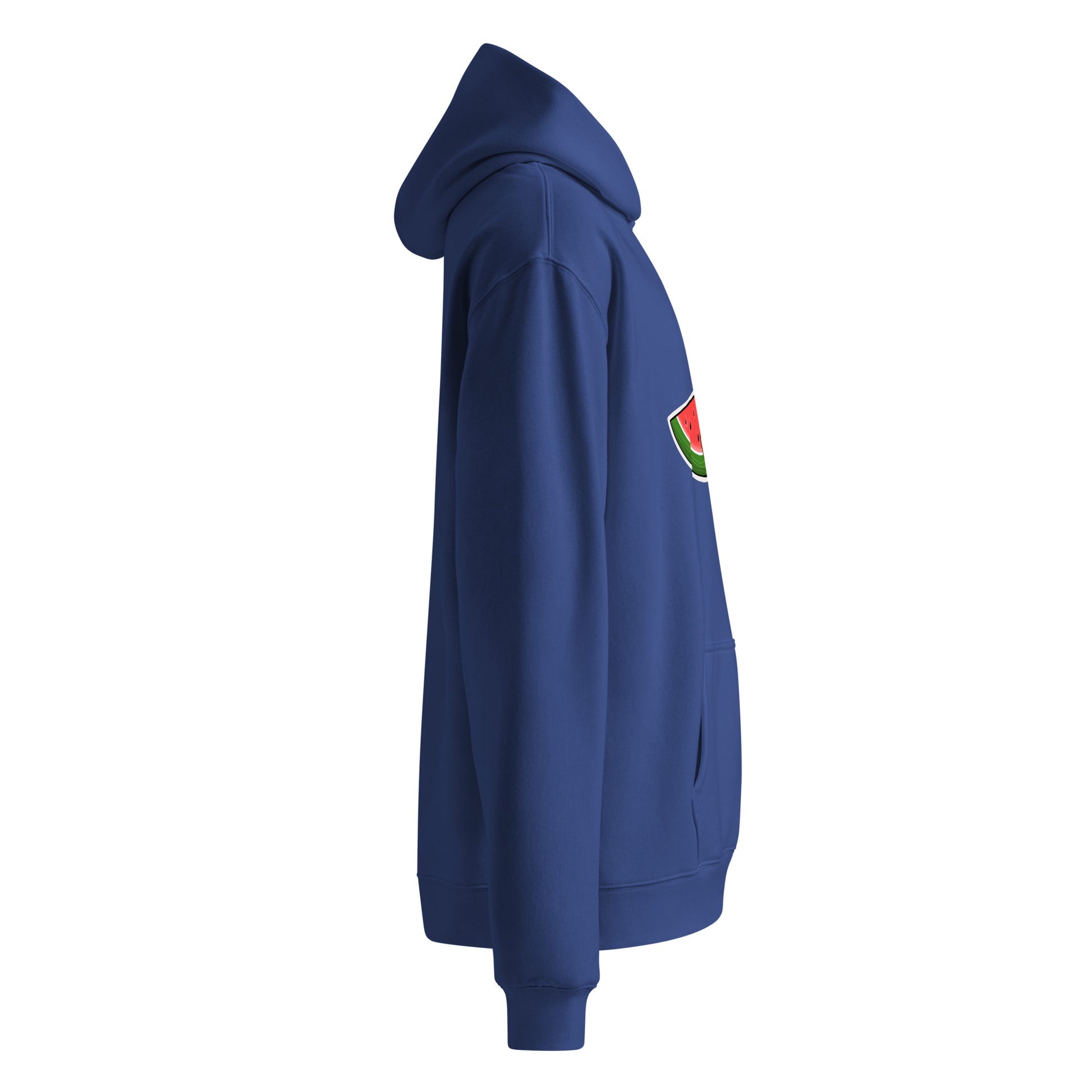 oversize hoodie blue color side view rajaeen