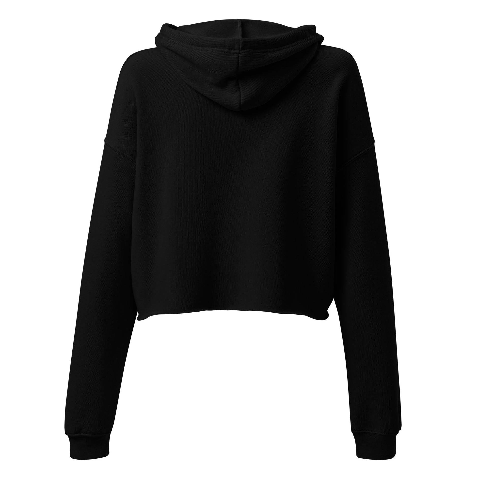 palestinian tatreez design black crop hoodie back side view rajaeen