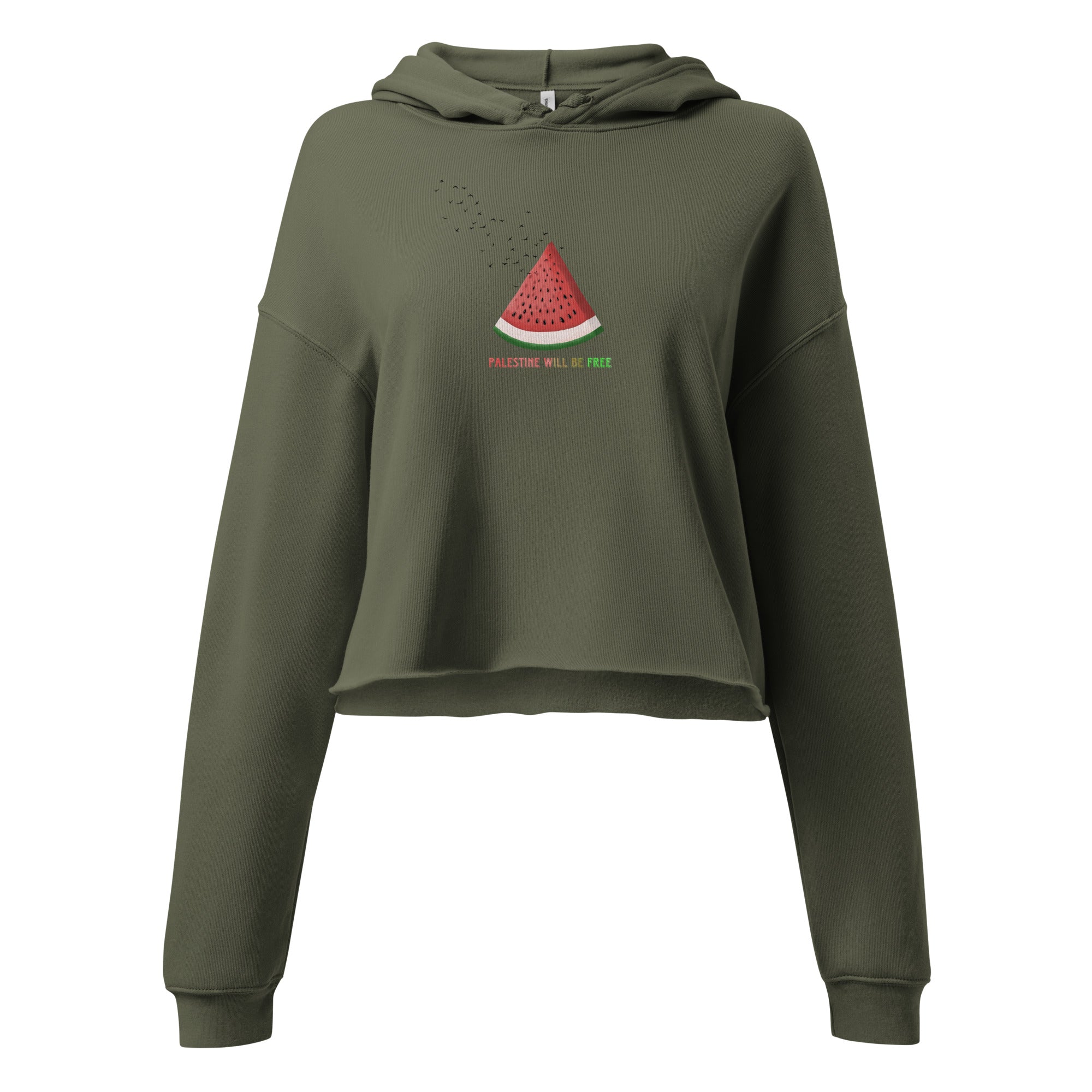 Watermelon Illustration Crop Top Hoodie