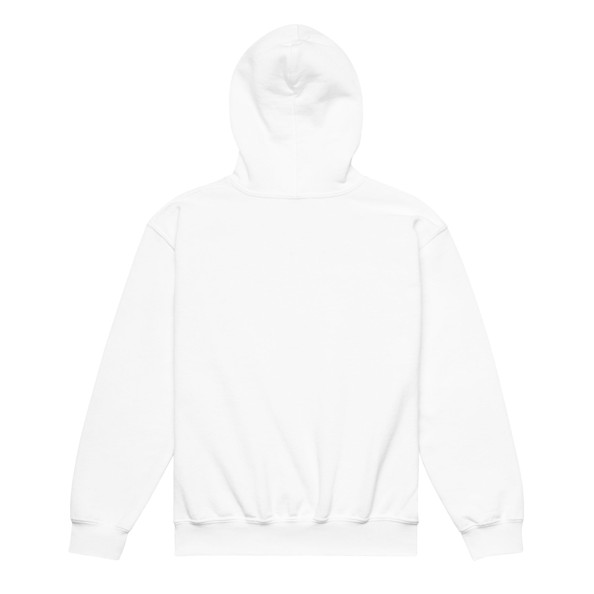 white color youth heavy blend hoodie back side rajaeen